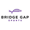 bridgegapsports_logo 1